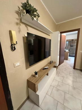Nocciolino Home